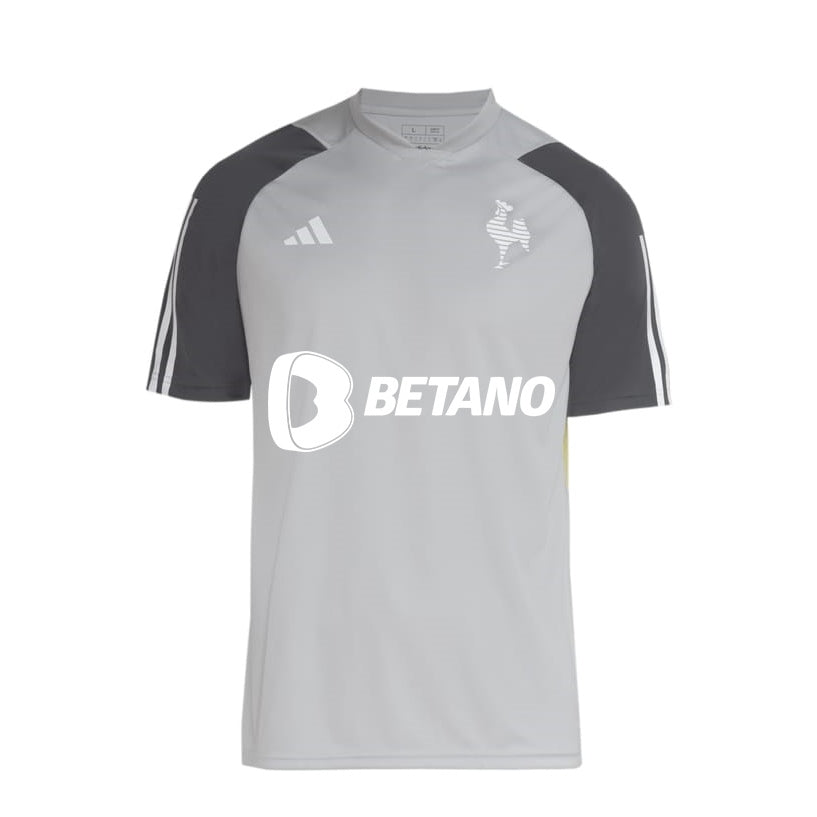 Camisa Atlﾃｩtico Mineiro Training 24/25
